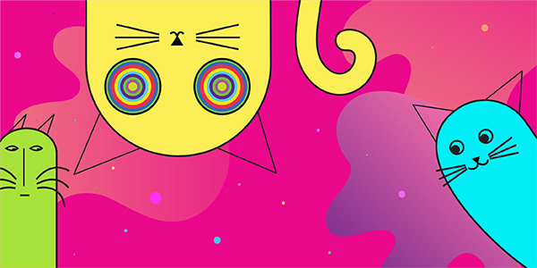 Image of colourful, curious cats