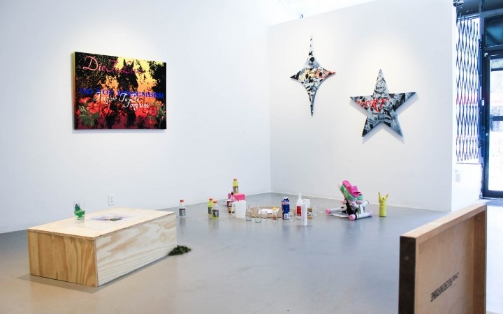 The Bald Eagle's Claw, 2019. Installation view