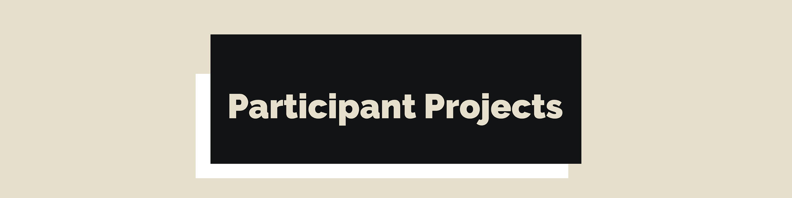 Participant Projects banner, with beige and black background