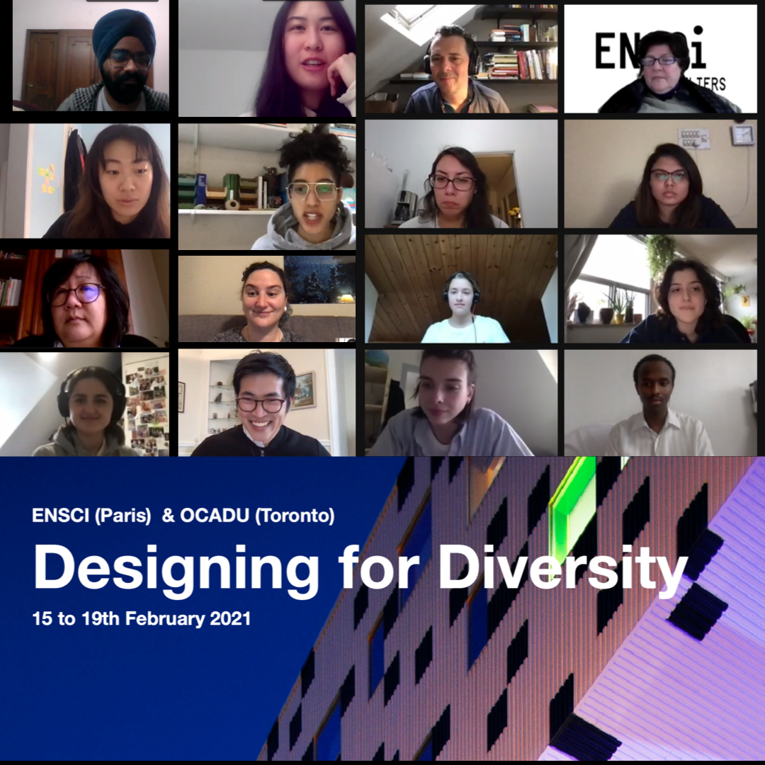 Designing for Diversity with a screen of many different people on an online call