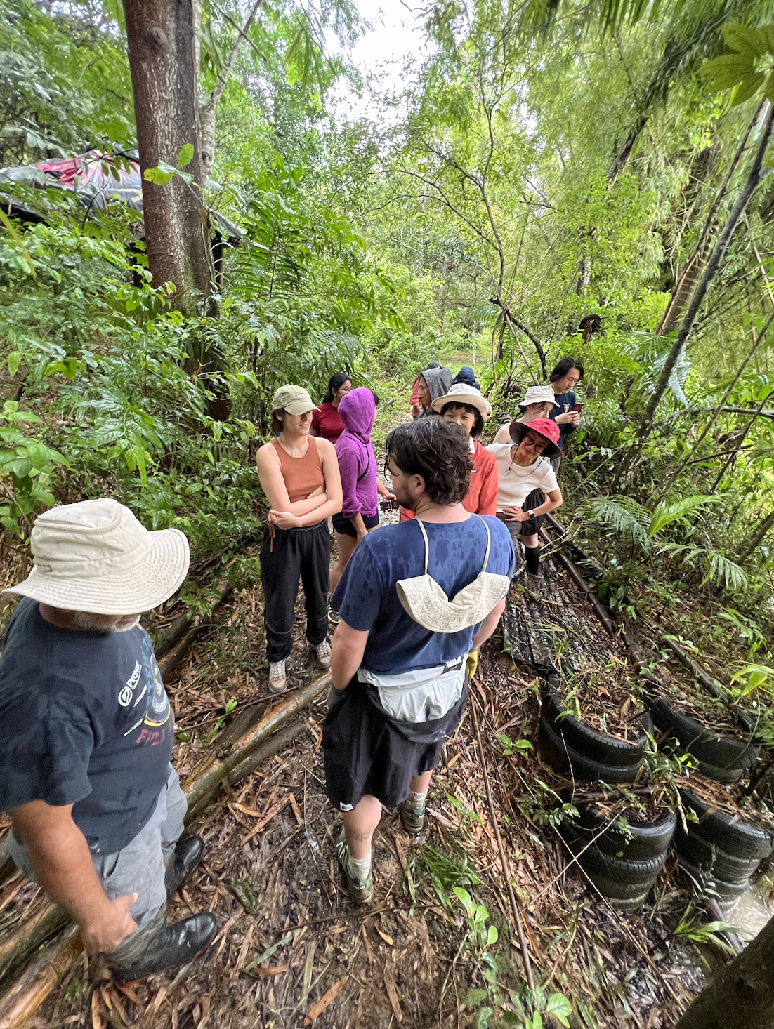 Group of students walking through forest