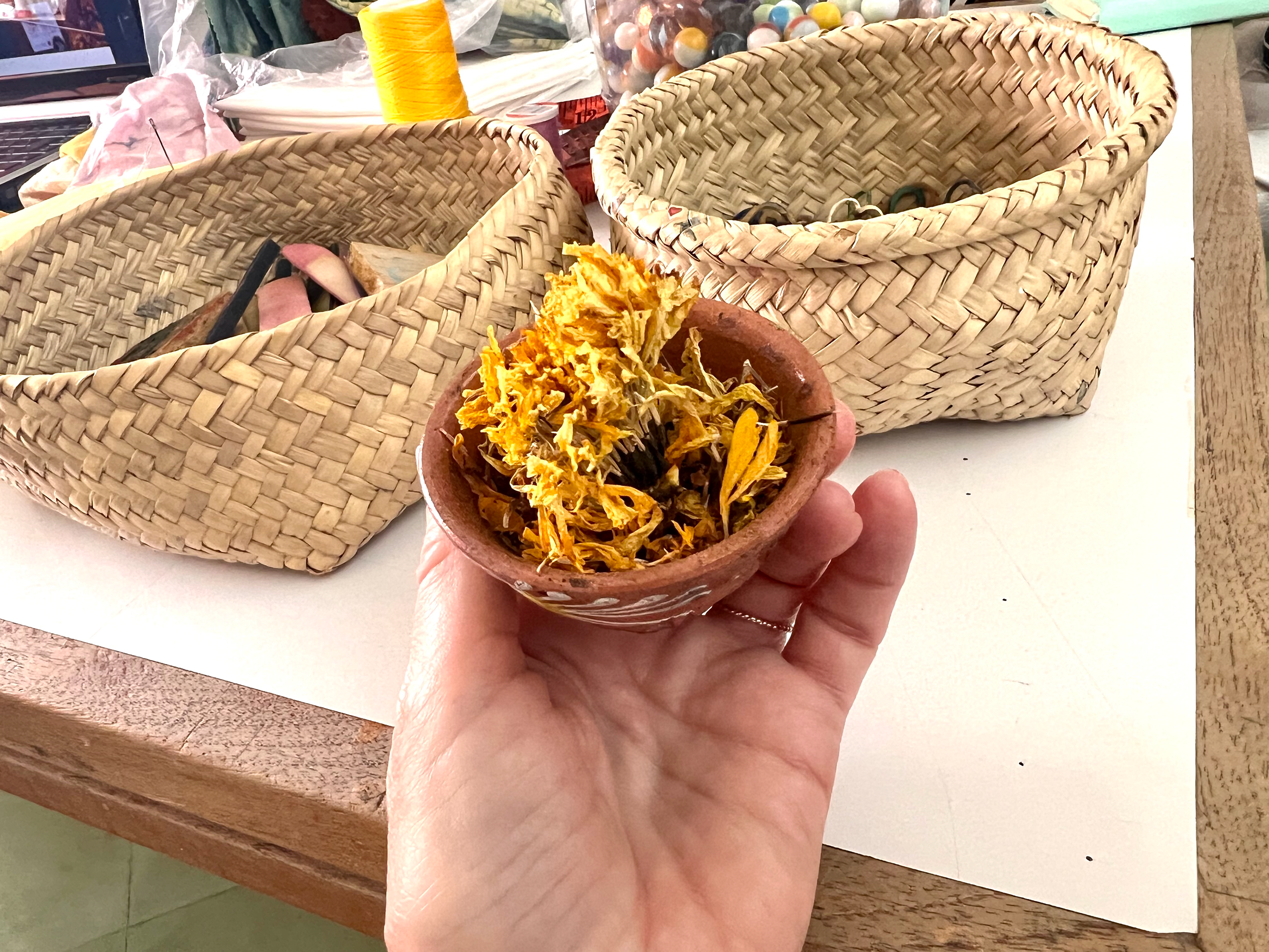 Marigold used for fabric drying