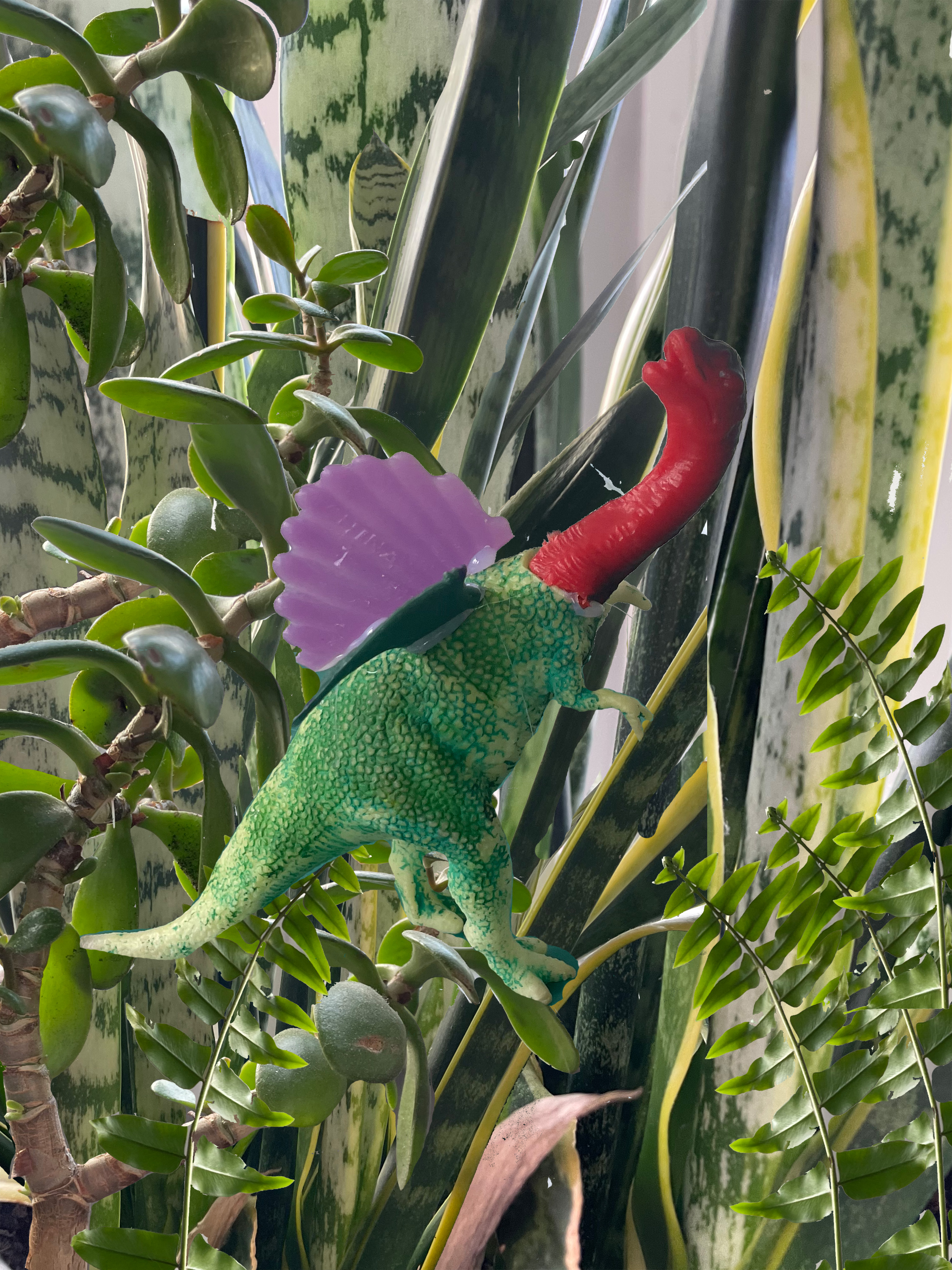 Artwork by Jessica Dipietro