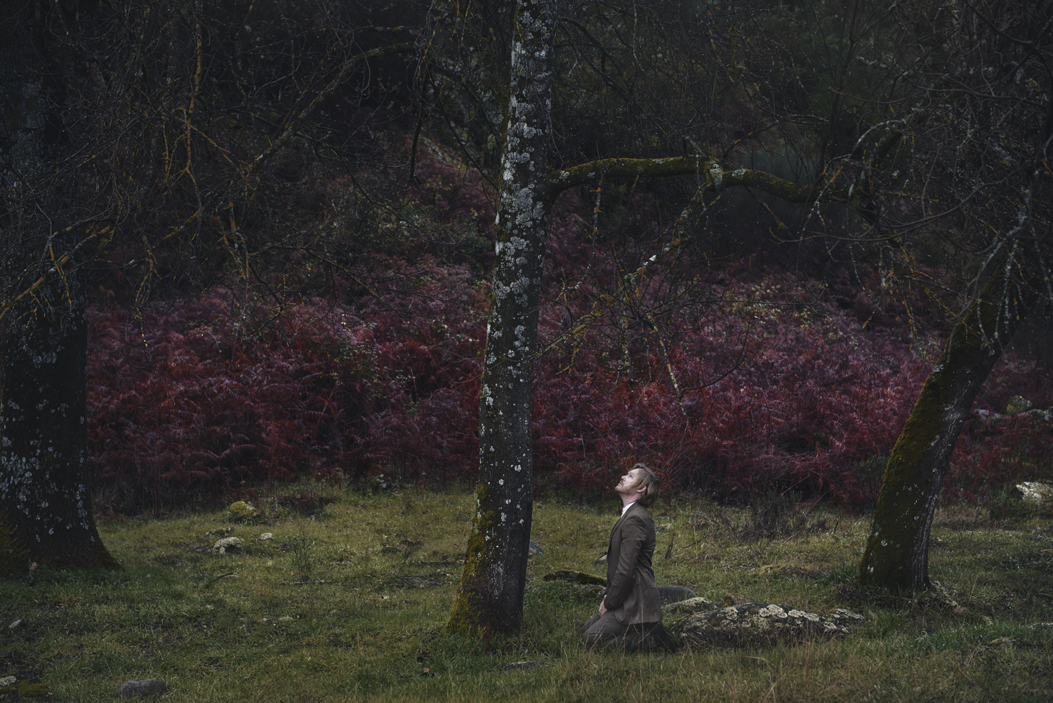 Artwork Impermanent. It's a photograph of a caucasian man in suite kneel down by a tree in a nature setup.