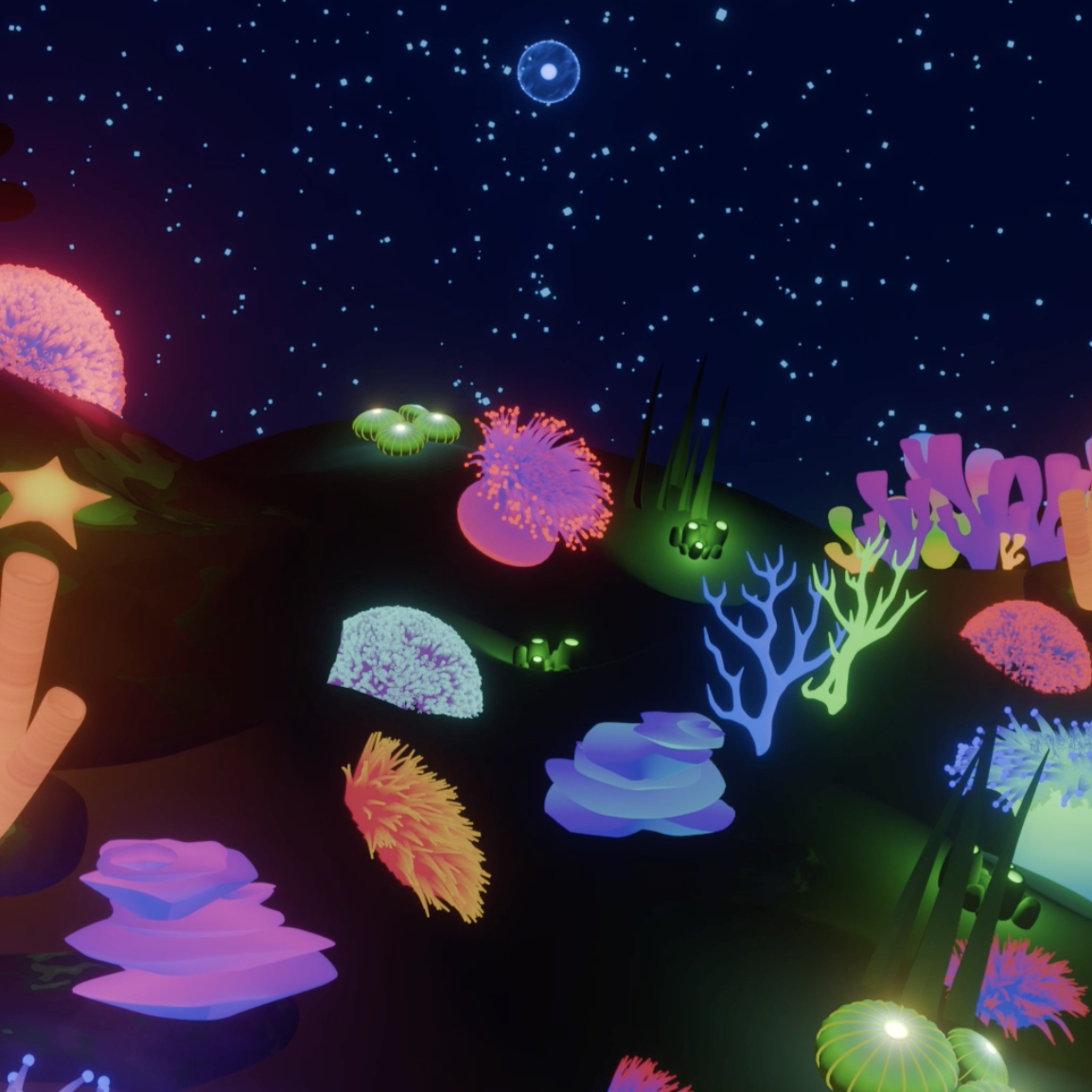 An underwater image of colourful coral reefs and plants