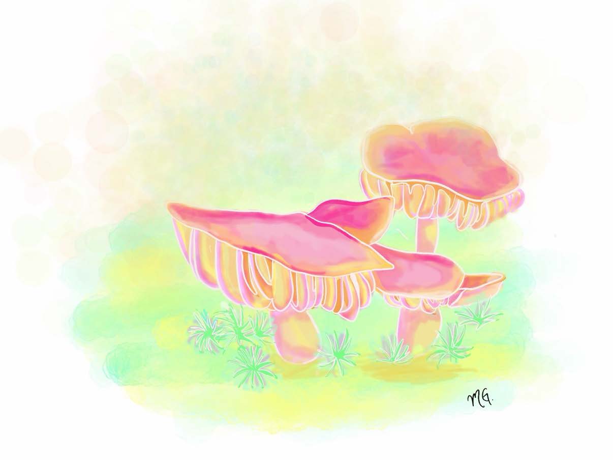 Spotted mushrooms on a hike in Mont Orford, 2021, digital painting © Megan Ganter-Romaniuk, courtesy of the artist