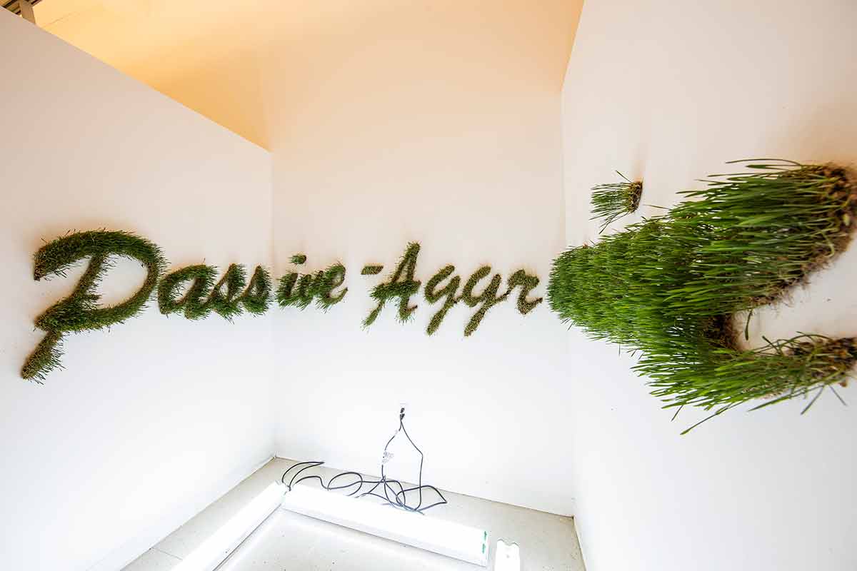 art installation.  the words passive aggressive in grass on a white wall