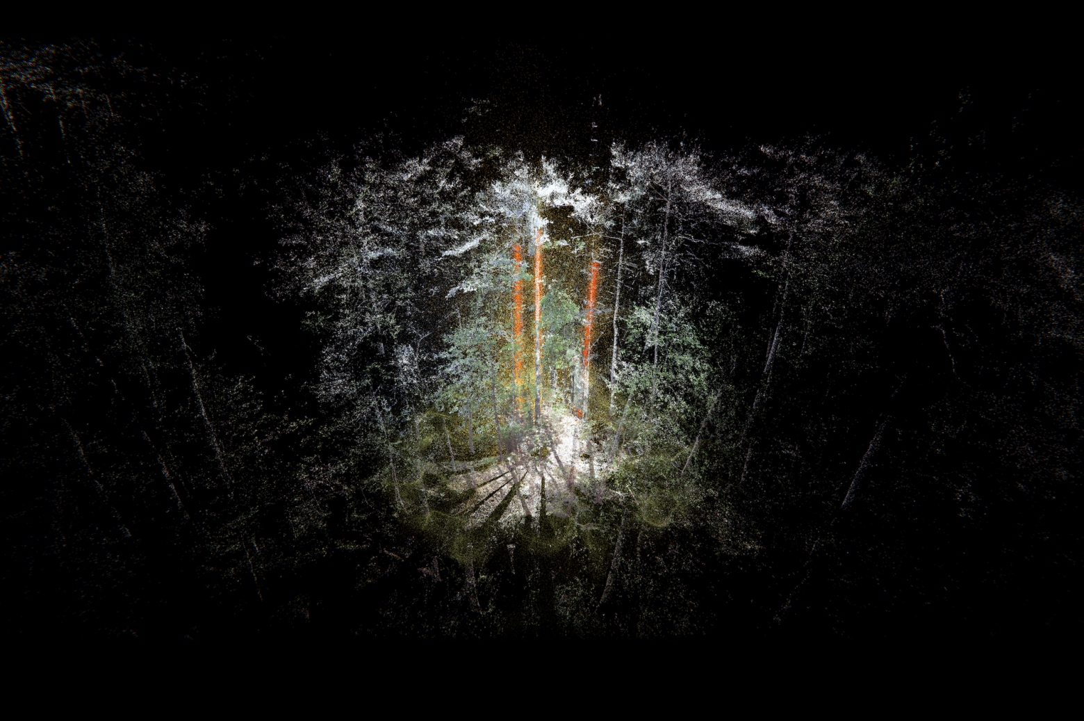Ursula Biemann, Forest Mind, 2021, sync 2-channel video installation, 31 minutes.  