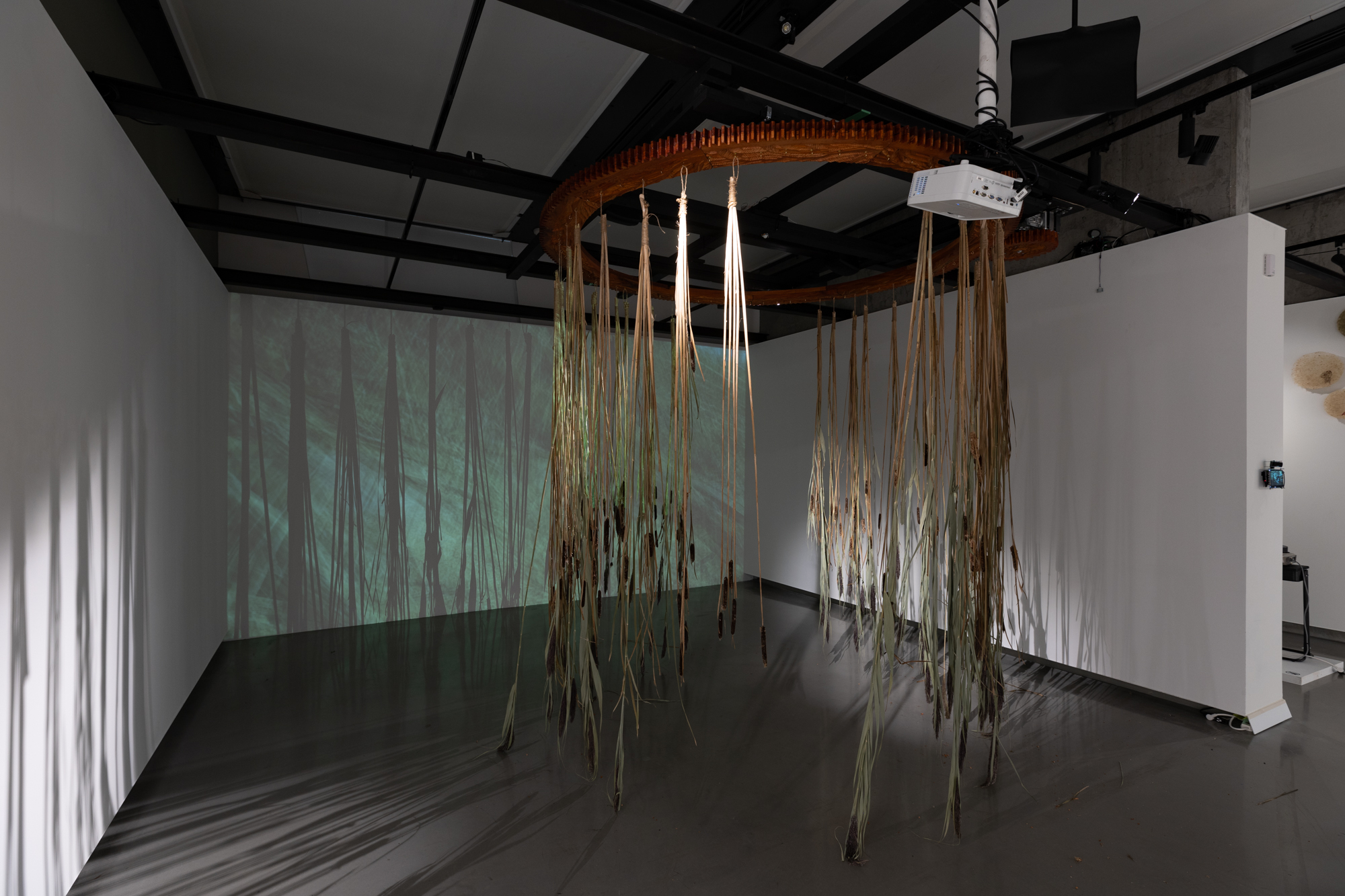 On Americanity and Other Experiences of Belonging, 2023. Onsite Gallery, OCAD University, Toronto. Installation View. Artwork shown: Alexandra Gelis, Migrant Superpositions: convertirse en, 2023. Photo by Em Moor.