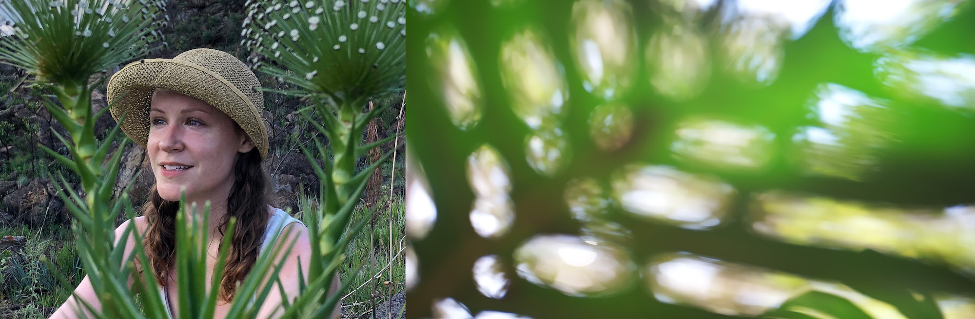 Image of a woman with twin tail brown hair smiling while sitting nature. Next image of a close up of a leaf. 