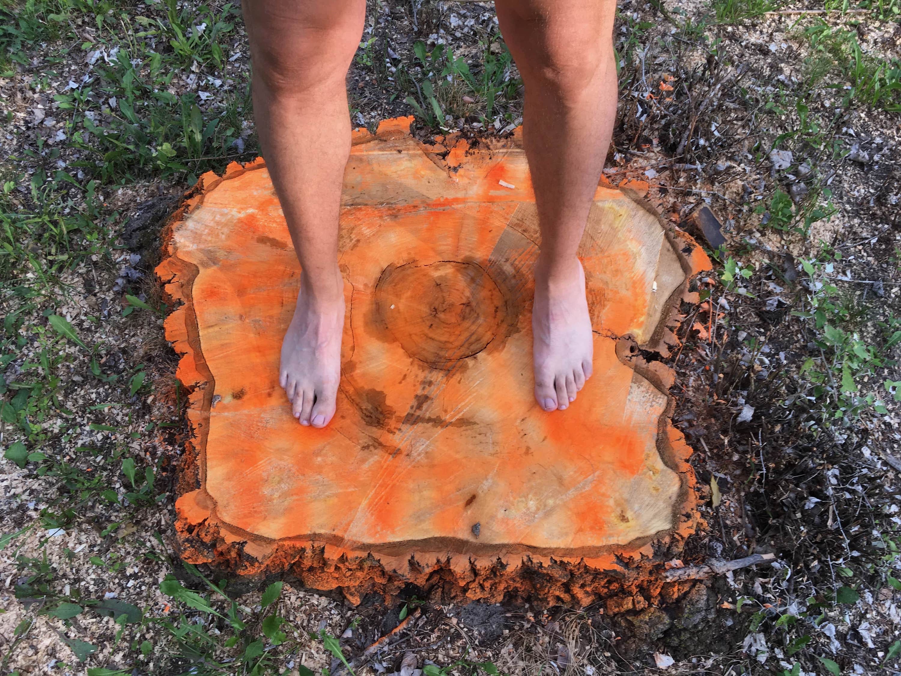 A person standing on a tree stump spray painted with orange.