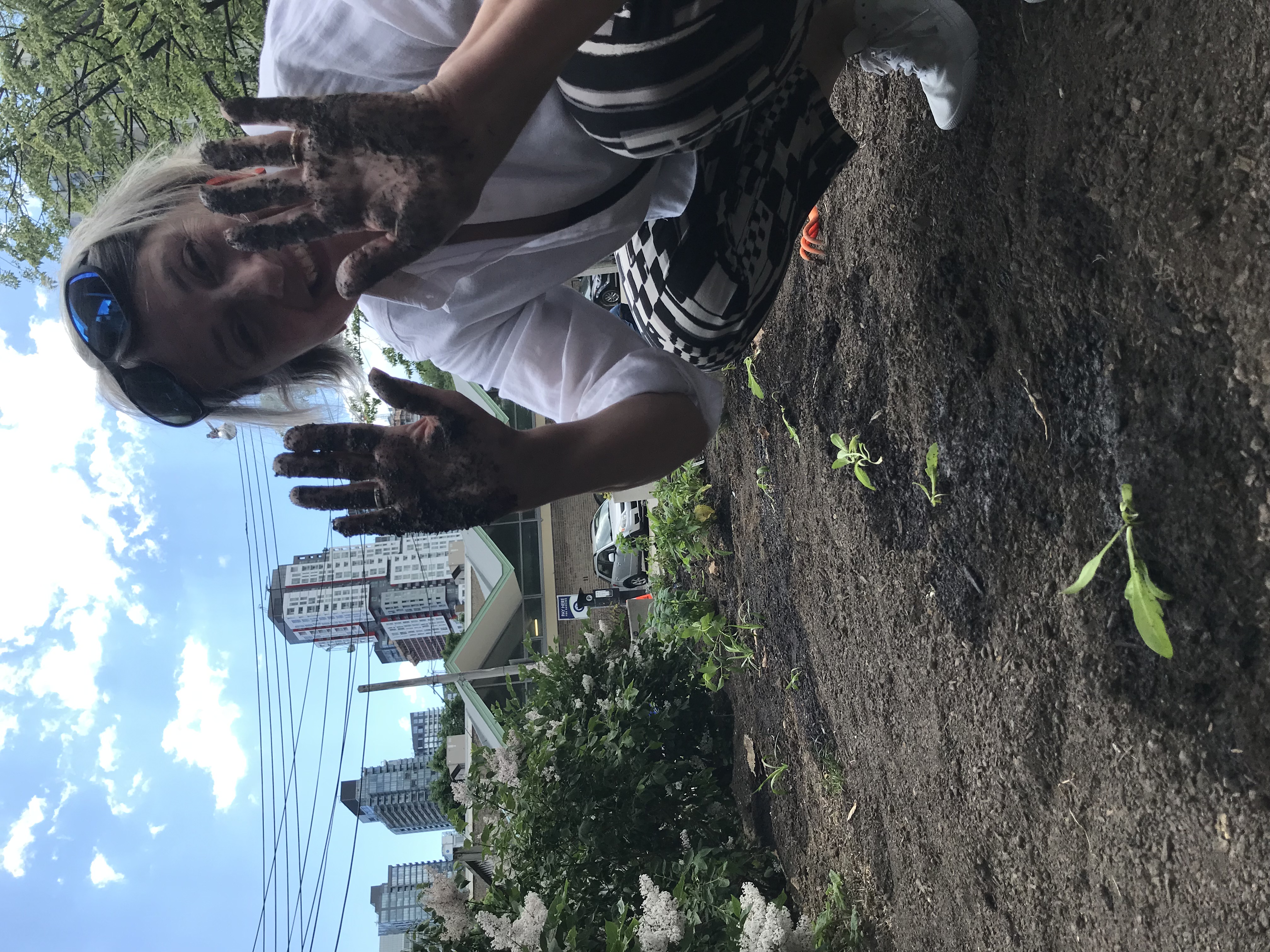 Ana P gets her hands dirty planting calendula