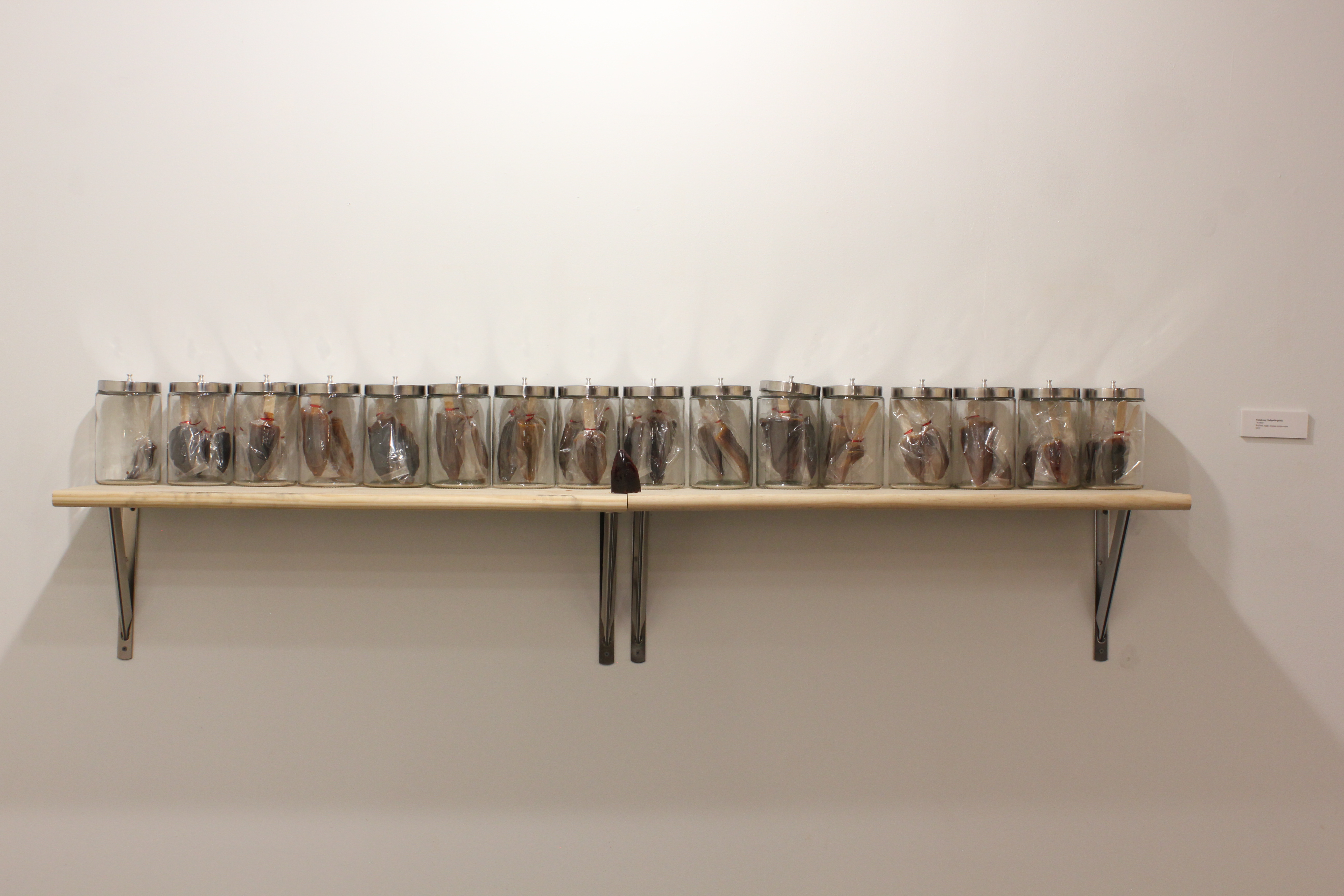 Artwork by Julia Rose Sutherland, Sugulegag "Rotten", 2019, refined sugar, tongue compressors, glass jars, 10” x 72” x 6”. Image courtesy of the artist. Works in glass jars, on a wooden shelf, hung on a white wall. 