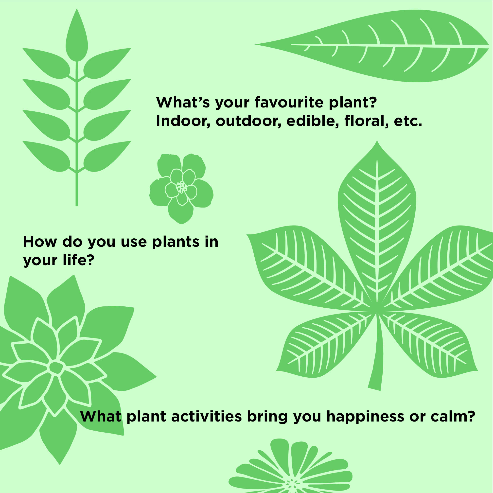 What’s your favourite plant? Indoor, outdoor, edible, floral, etc. How do you use plants in your life? What plant activities bring you happiness or calm?