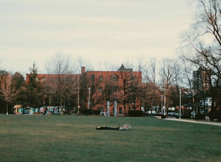 A large green field with trees in the backgroundDescription automatically generated