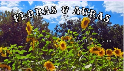 Text Floras and Auras with blue sky and sunflowers in the backgound