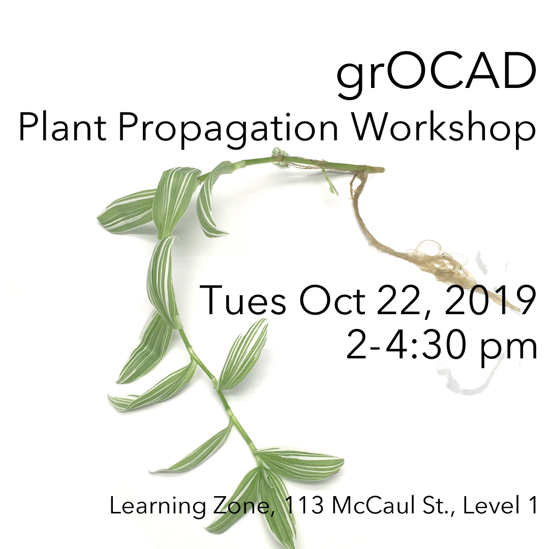 Poster with image of plant and text promoting the dates to the workshop