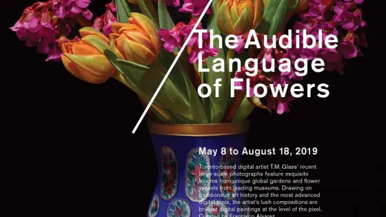 T.M. Glass: The Audible Language of Flowers