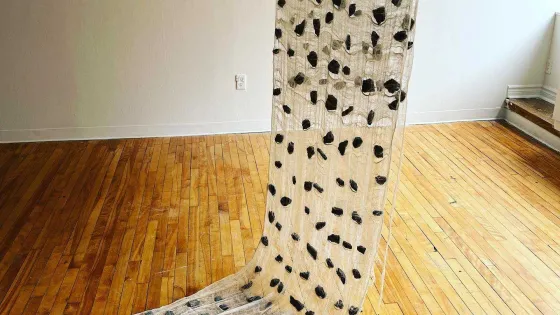 Fabric hanging from the ceiling with black accents