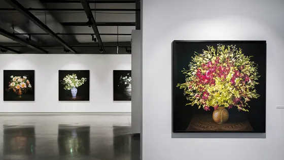 Gallery with images of flowers on the wall