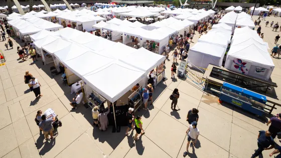 TOAF tents and visitors walking around.