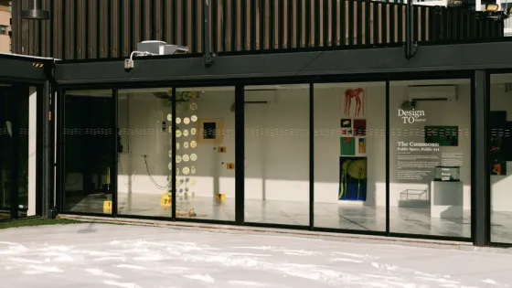 The Commons: Public Space, Public Art', 2021.