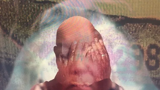 Screenshot from Dr. Patterson's Ocular Occurrences: Sites of Perception 