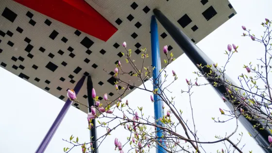 Photo of the OCAD U Tabletop building, white with black squares and a red pillar with purple and blue pillars and a magnolia tree in front
