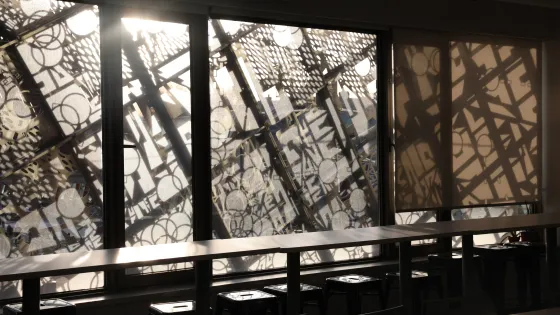Sunlight via OCAD 115 McCaul Building window