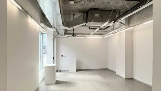 Remote Gallery space at Akin Studio.