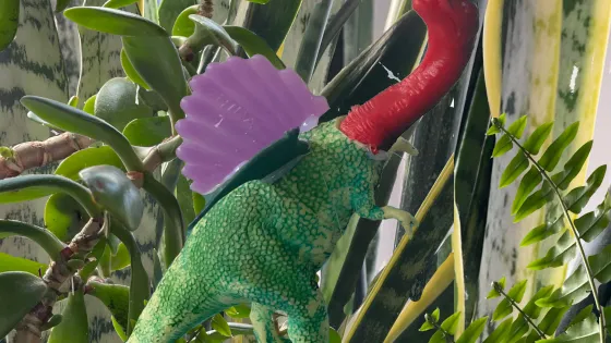 Artwork by Jessica Dipietro