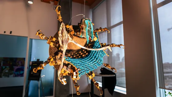 Image of work of art, Knitting Echoes