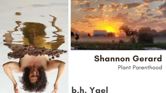 White poster with faculty presentation info