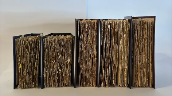   Jel Suarez, Selected artists’ book works for A bouquet of flowers must be held, 2026. Image courtesy of the artist.  5 Books lined up, with pages facing front, on a blue and grey background.