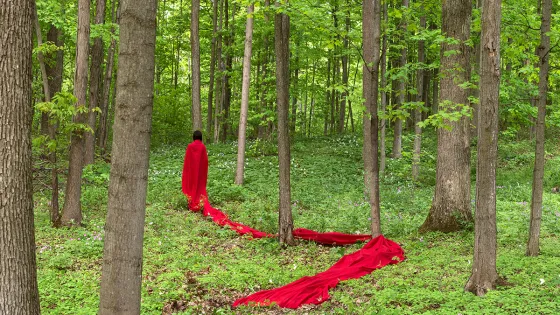 A person wearing a flowing red robe, walking on grass in a forest of trees.