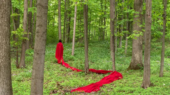 Person standing in a forest with a bright red piece of fabric trailing behind them