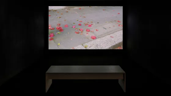 exhibition documentation from Erdem Tasdelen. A video is projected in a dark room, with a bench to sit and watch. 
