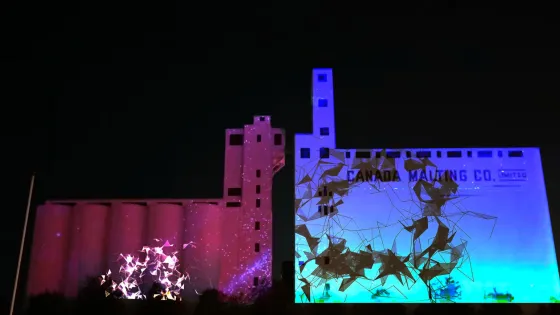 Artwork, "Breathe" of birds flying projected onto Canada Malting Silos