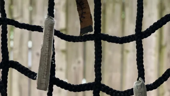 Intertwining rope forming squares with hanging cards with words