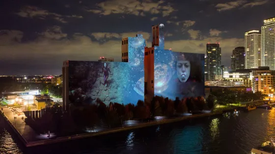 Art projected on the side of a large building at night