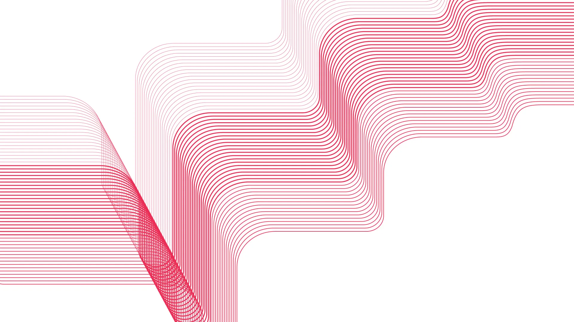 Pink lines on white background