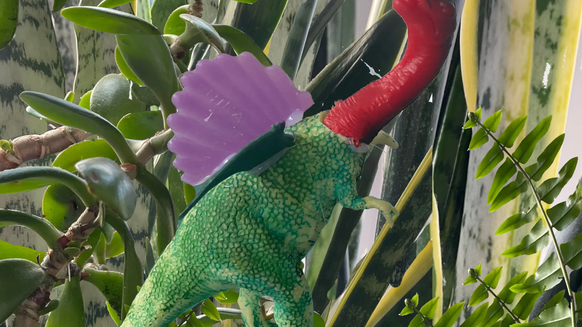 Artwork by Jessica Dipietro