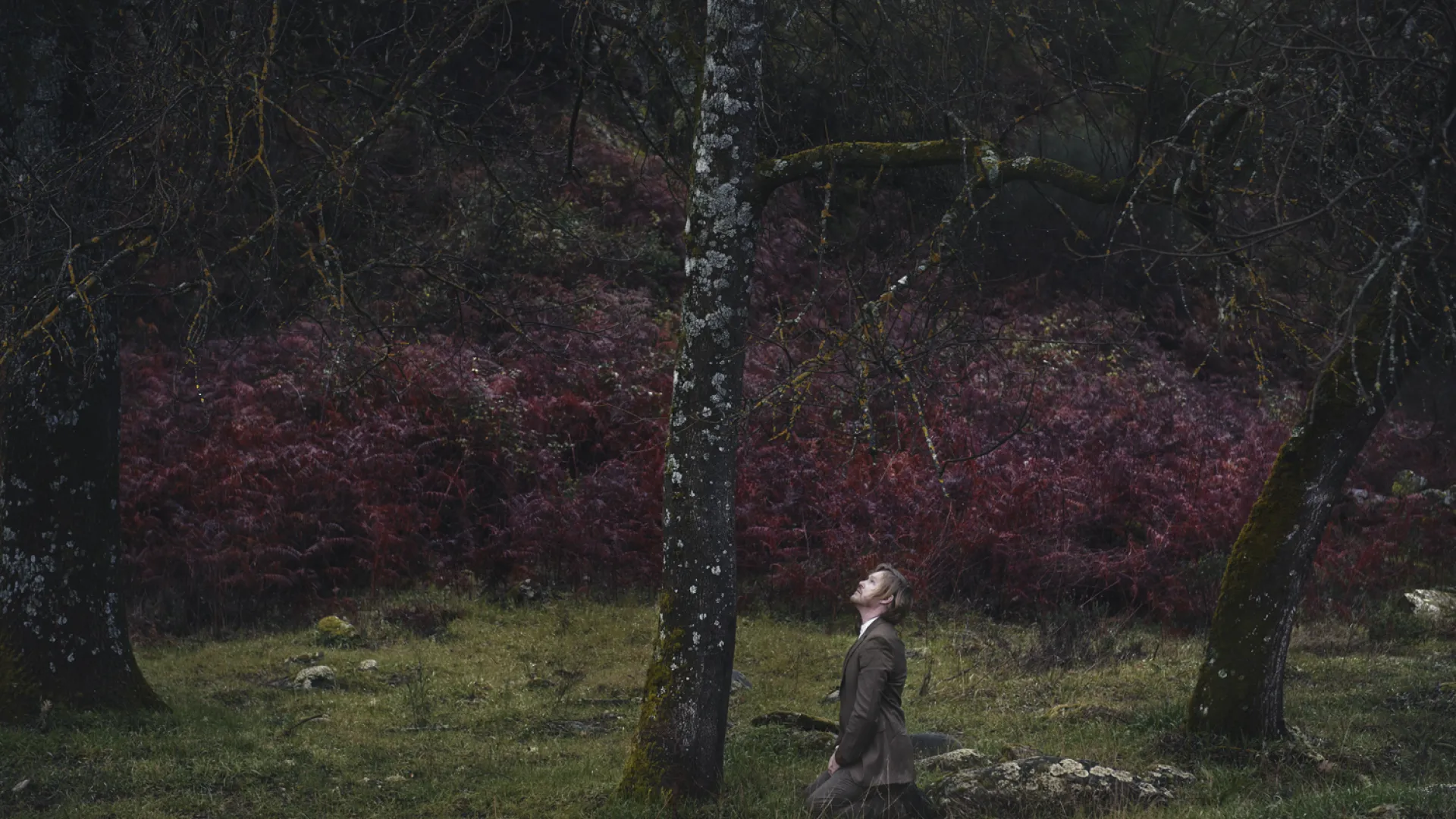Artwork Impermanent. It's a photograph of a caucasian man in suite kneel down by a tree in a nature setup.