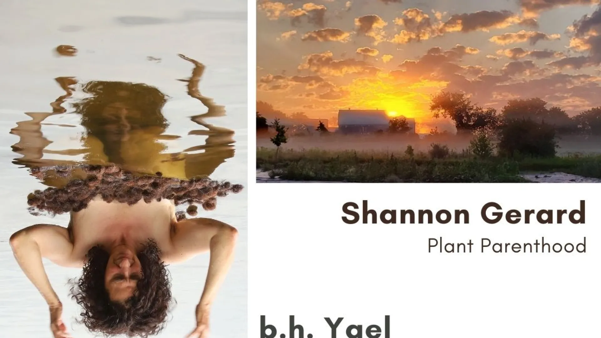 White poster with faculty presentation info