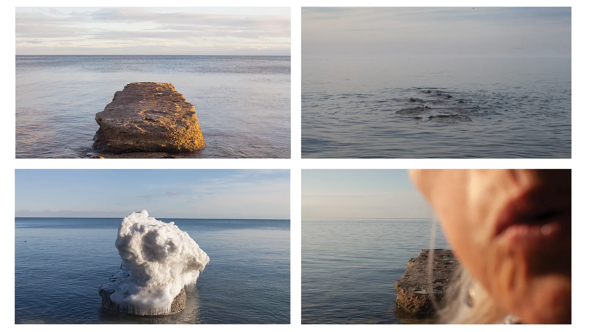 Artwork: April Hickox, Vantage Point-Passing series, n.d., four colour photographs in a grid of the lake from Toronto islands, from the same vantage point with various water, sky, climate, and season.