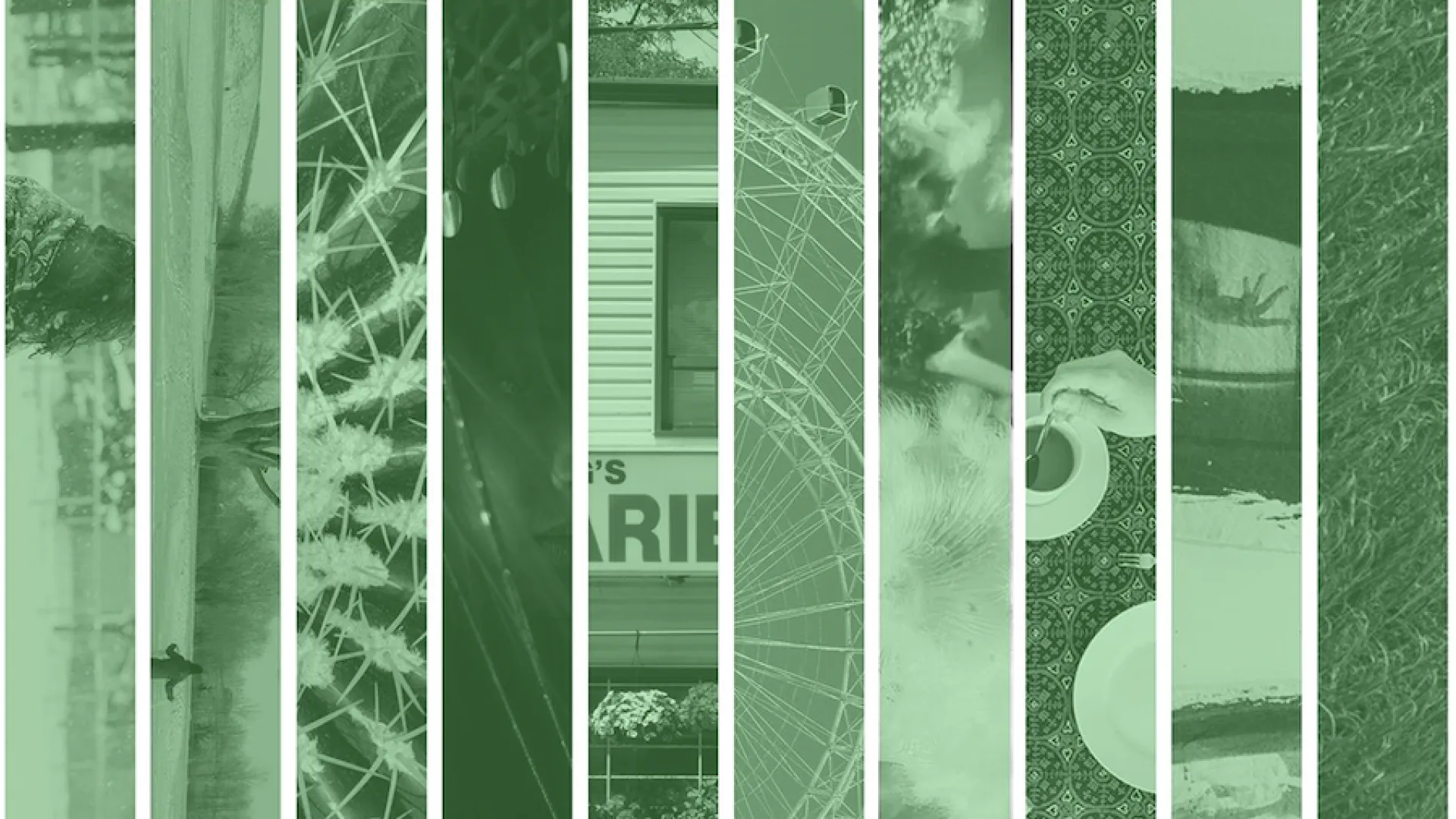 Photos in green filter