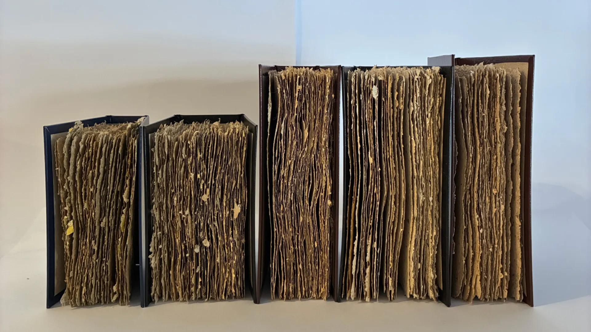    Jel Suarez, Selected artists’ book works for A bouquet of flowers must be held, 2026. Image courtesy of the artist.  5 Books lined up, with pages facing front, on a blue and grey background.