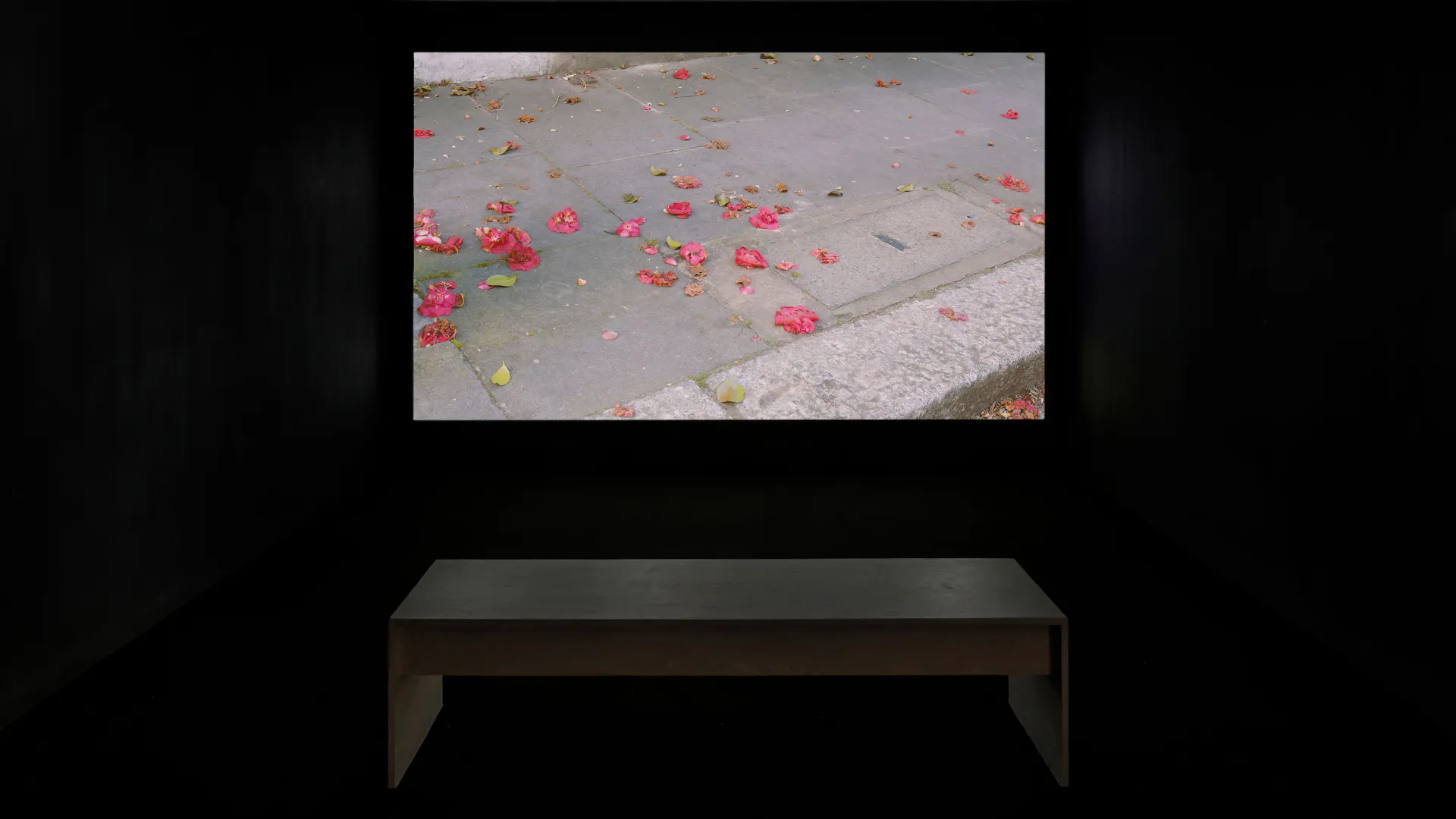 exhibition documentation from Erdem Tasdelen. A video is projected in a dark room, with a bench to sit and watch. 
