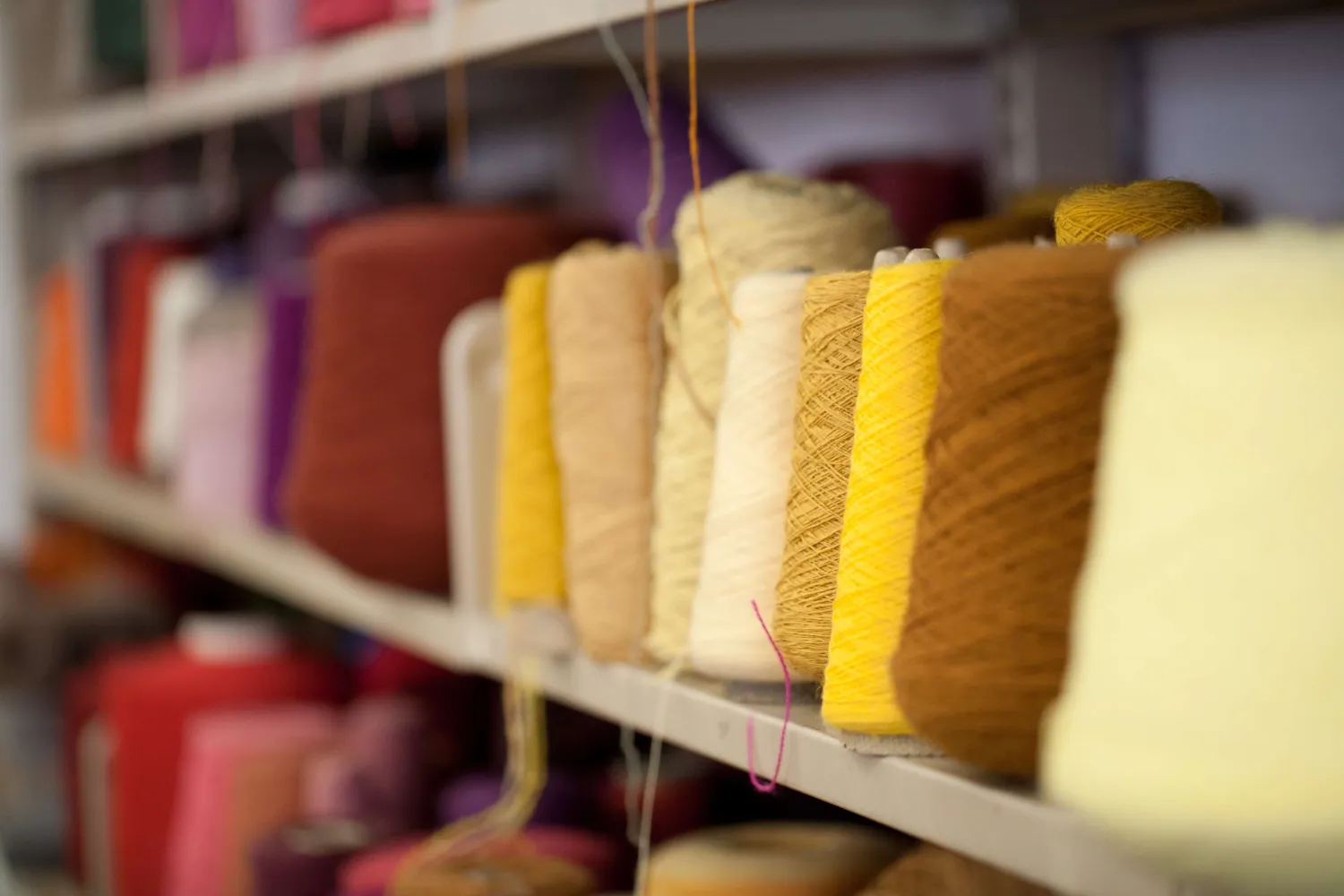 Spools of thread in multiple colours