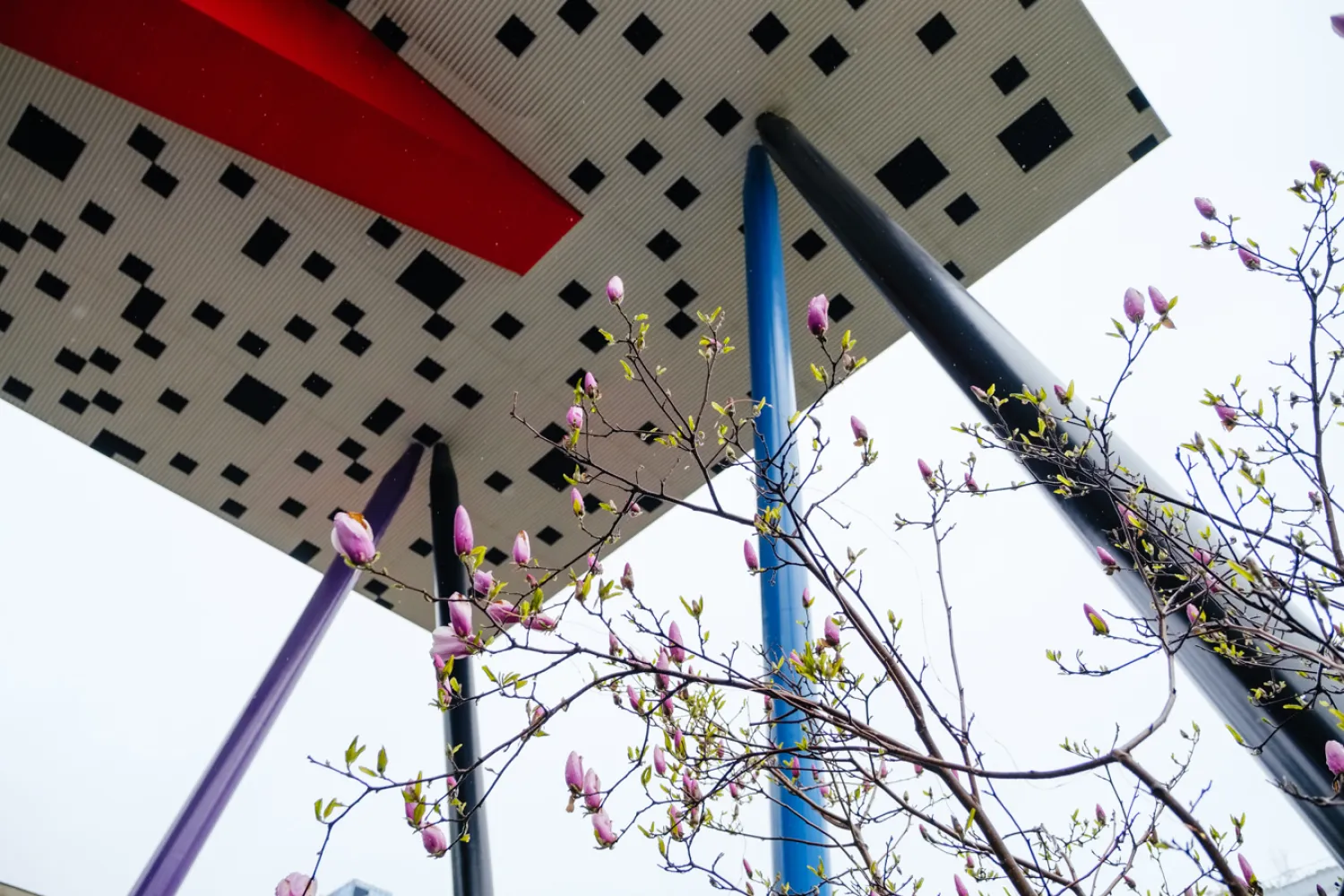 Photo of the OCAD U Tabletop building, white with black squares and a red pillar with purple and blue pillars and a magnolia tree in front